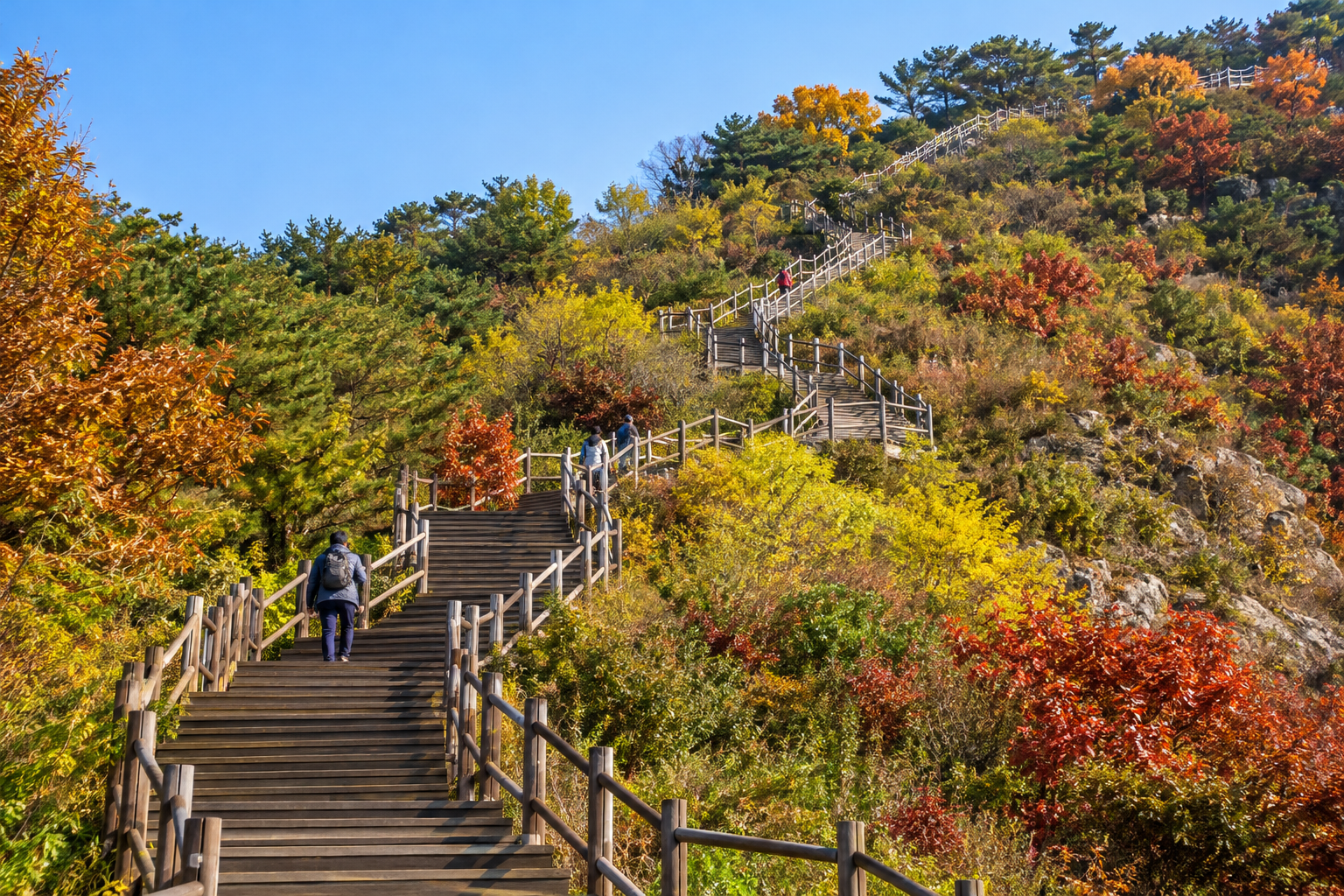 Wooden staircase climbing a green hillside