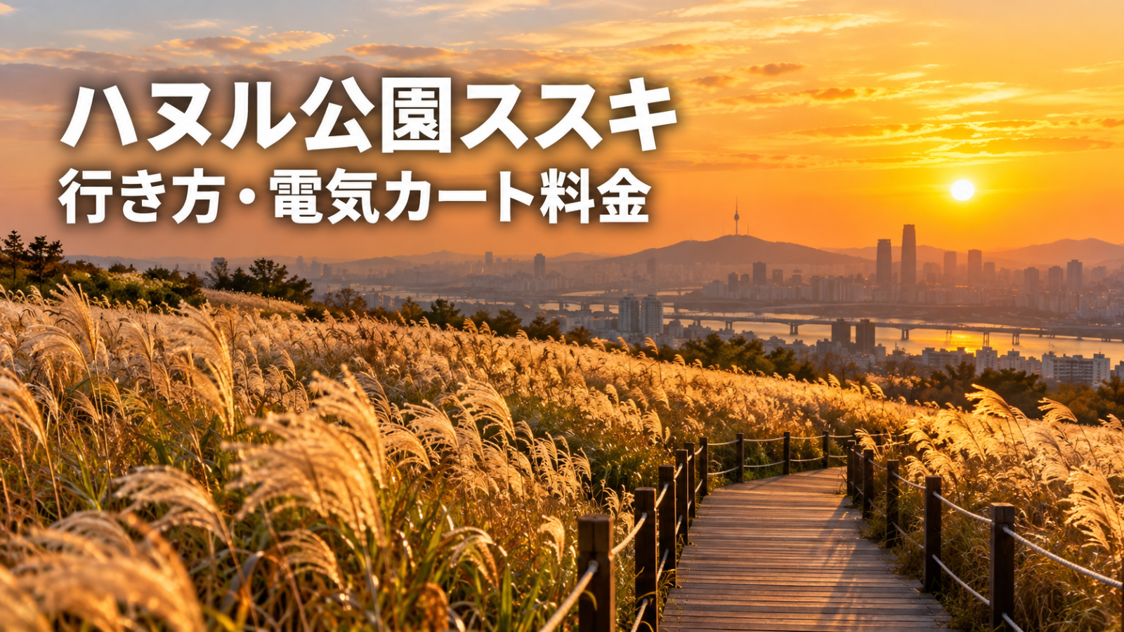 ハヌル公園のススキ2026｜電気カート料金・階段291段・待ち時間まとめ