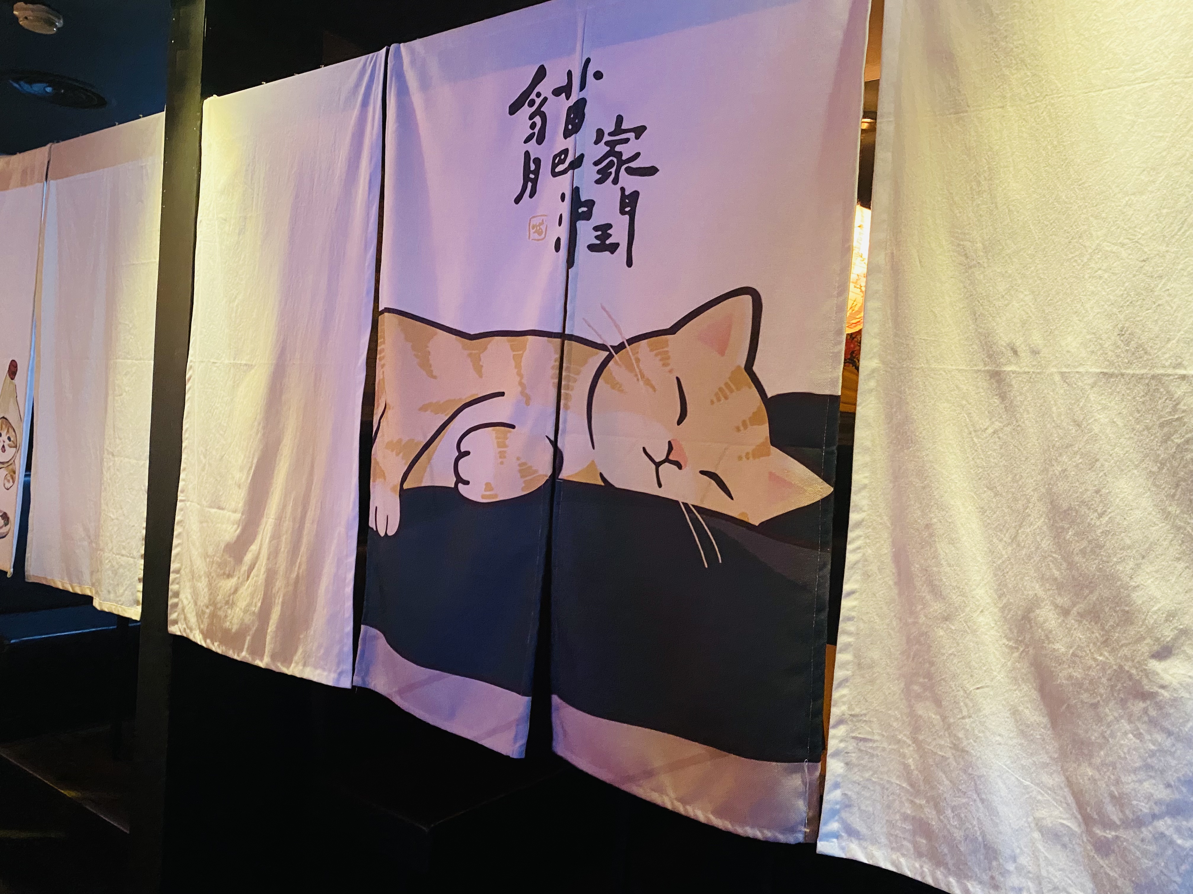 묵동 먹골역 이자카야 주잔 2층 맛집 방문 후기 feat. 장미축제