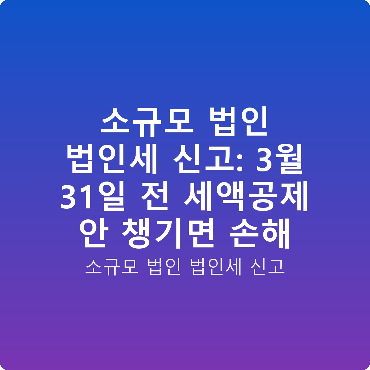 소규모 법인 법인세 신고: 3월 31일 전 세액공제 안 챙기면 손해