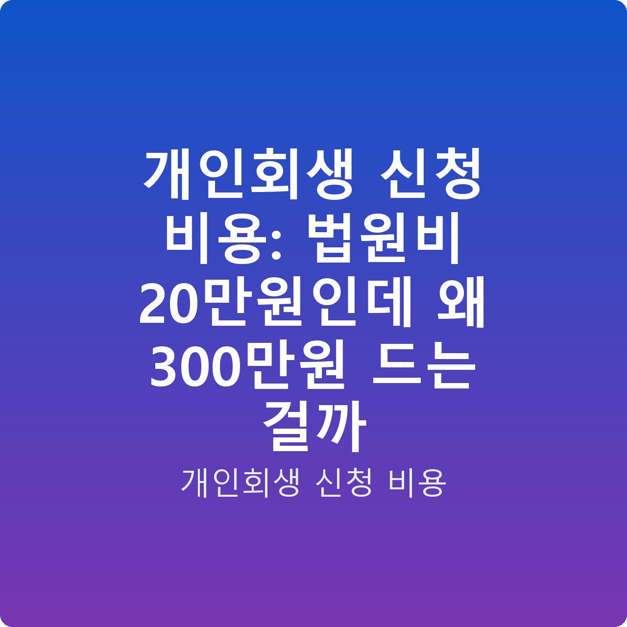 개인회생 신청 비용: 법원비 20만원인데 왜 300만원 드는 걸까