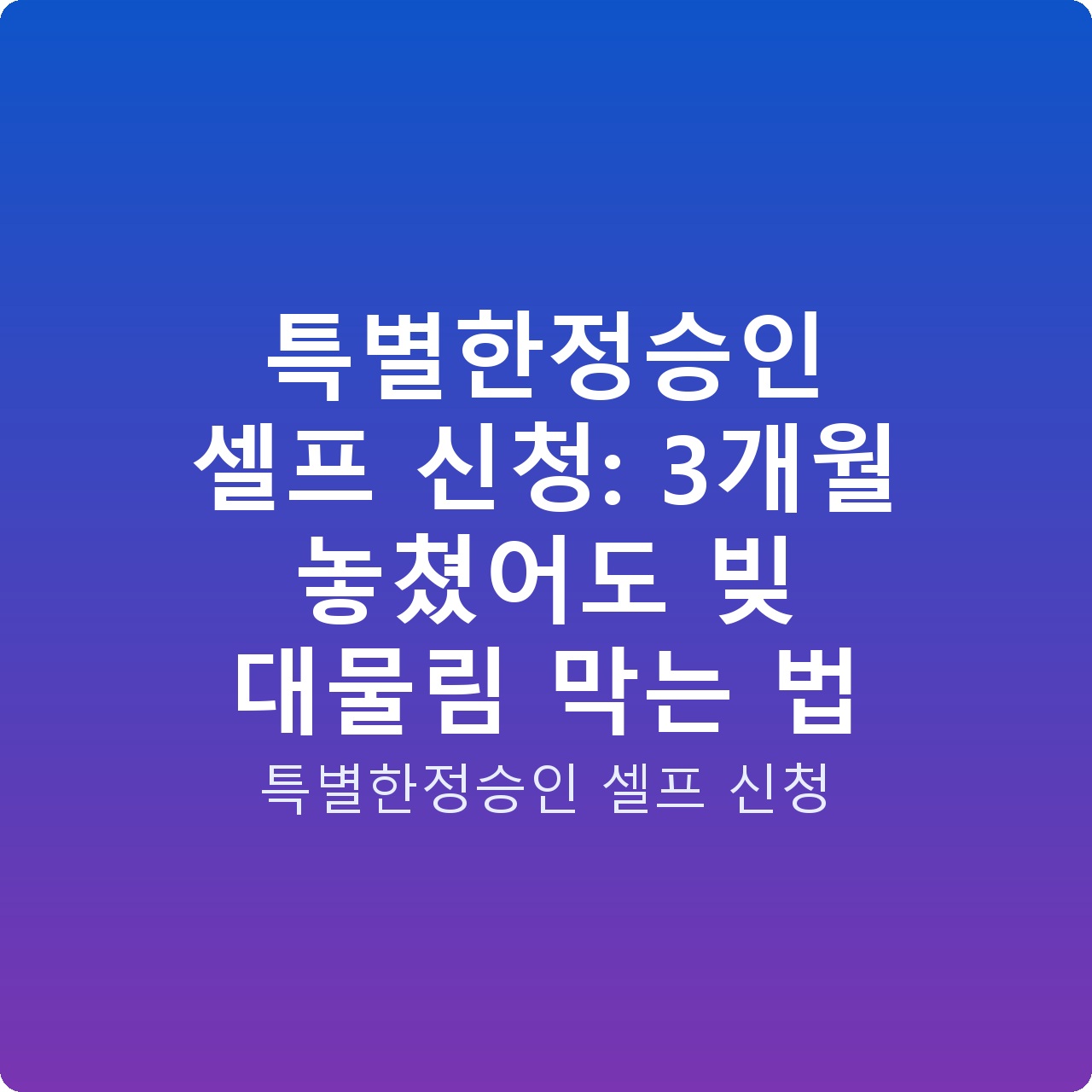 특별한정승인 셀프 신청: 3개월 놓쳤어도 빚 대물림 막는 법