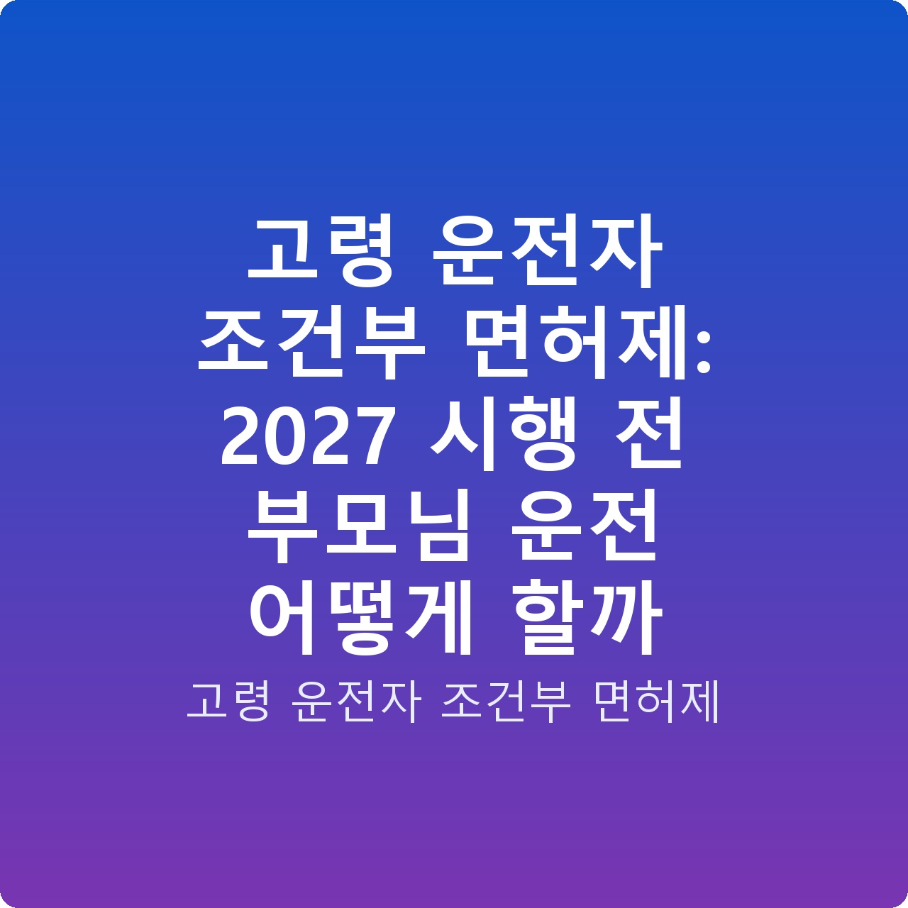 고령 운전자 조건부 면허제: 2027 시행 전 부모님 운전 어떻게 할까