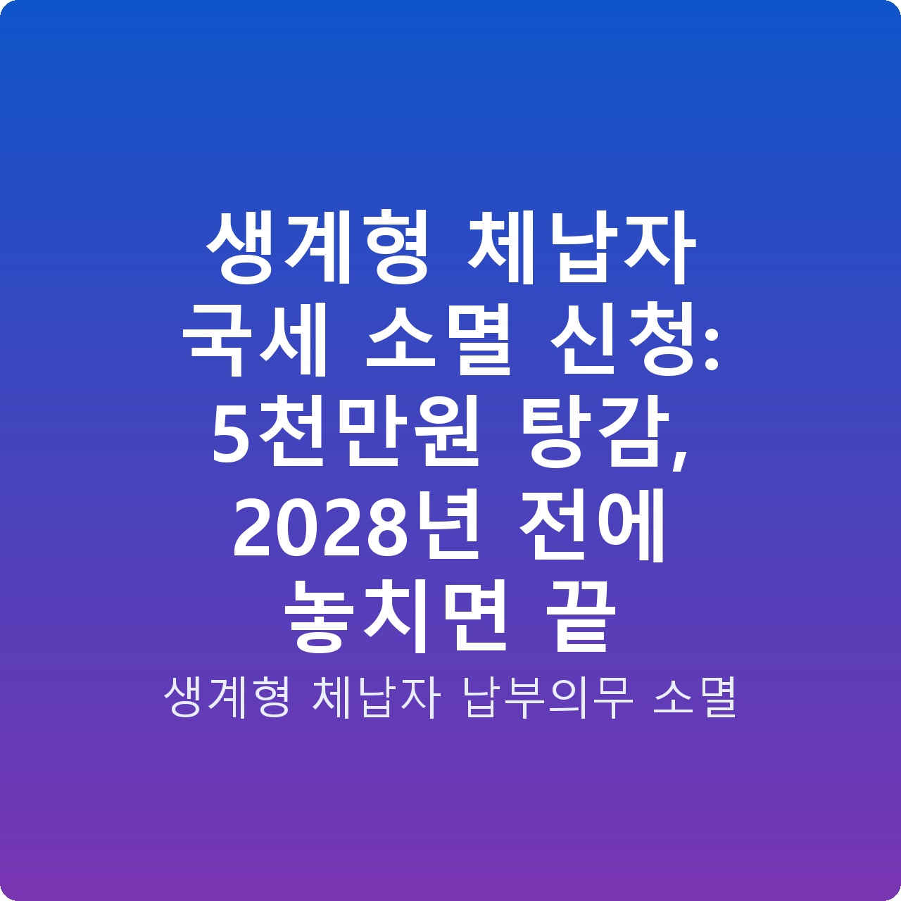 생계형 체납자 국세 소멸 신청: 5천만원 탕감, 2028년 전에 놓치면 끝