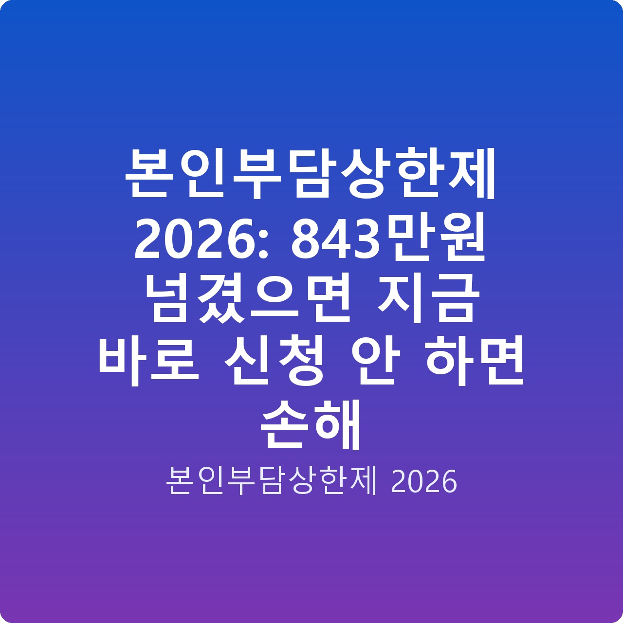 본인부담상한제 2026: 843만원 넘겼으면 지금 바로 신청 안 하면 손해