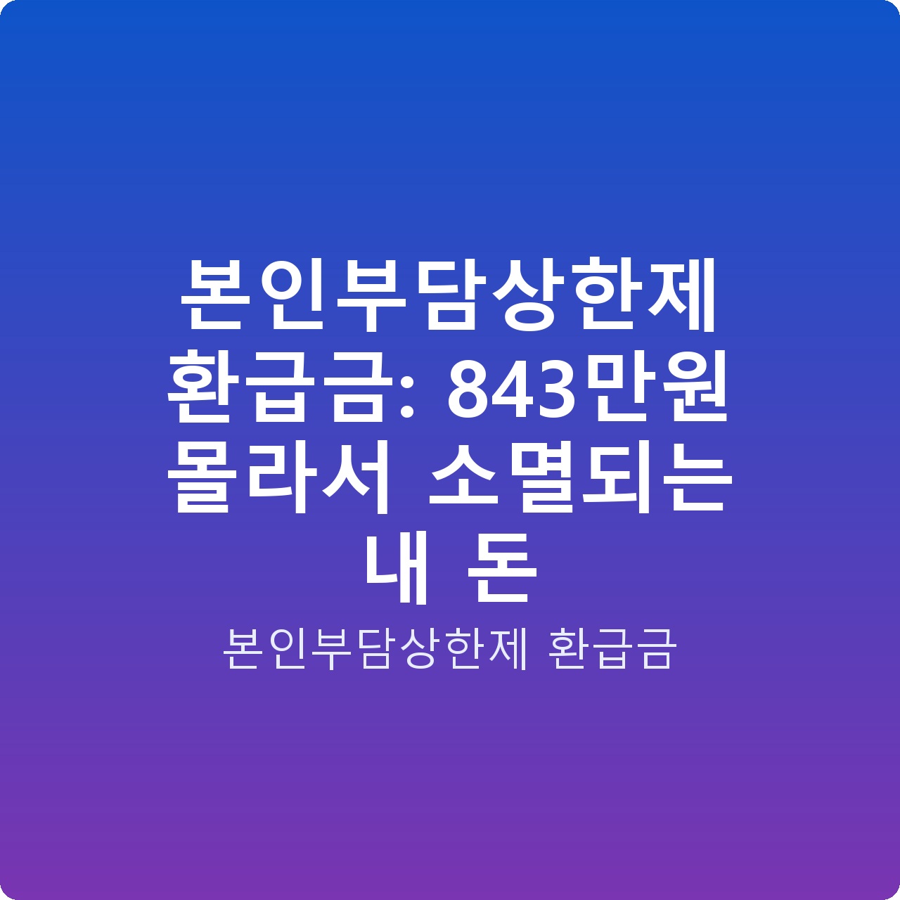 본인부담상한제 환급금: 843만원 몰라서 소멸되는 내 돈
