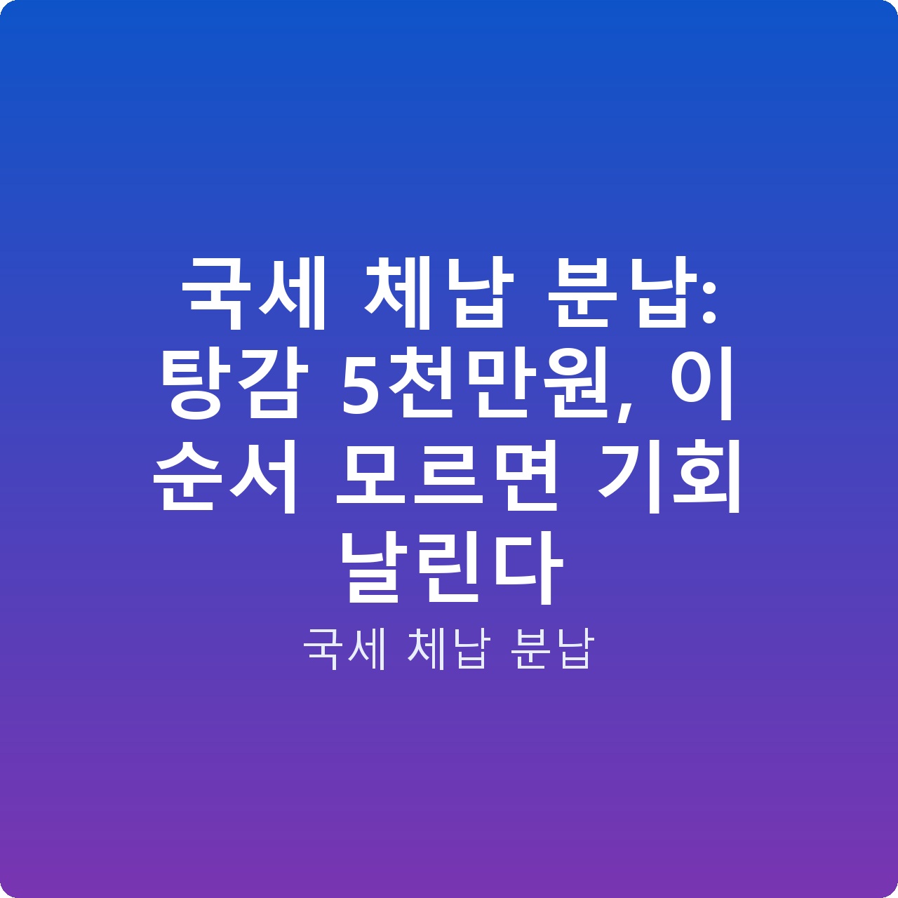 국세 체납 분납: 탕감 5천만원, 이 순서 모르면 기회 날린다