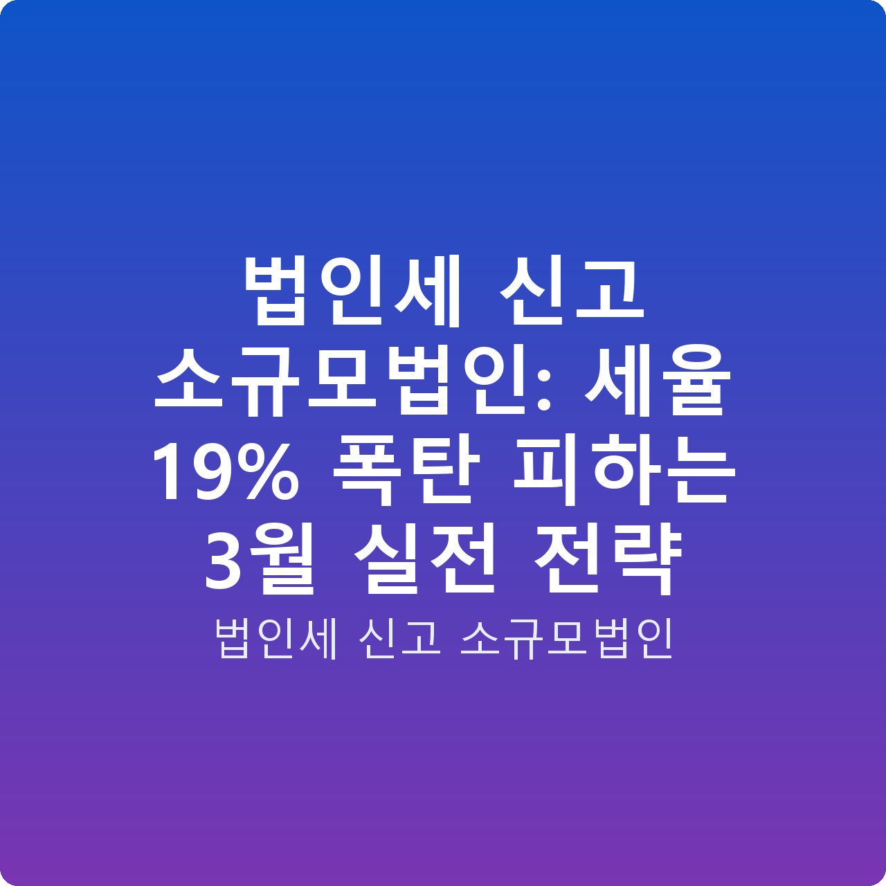 법인세 신고 소규모법인: 세율 19% 폭탄 피하는 3월 실전 전략