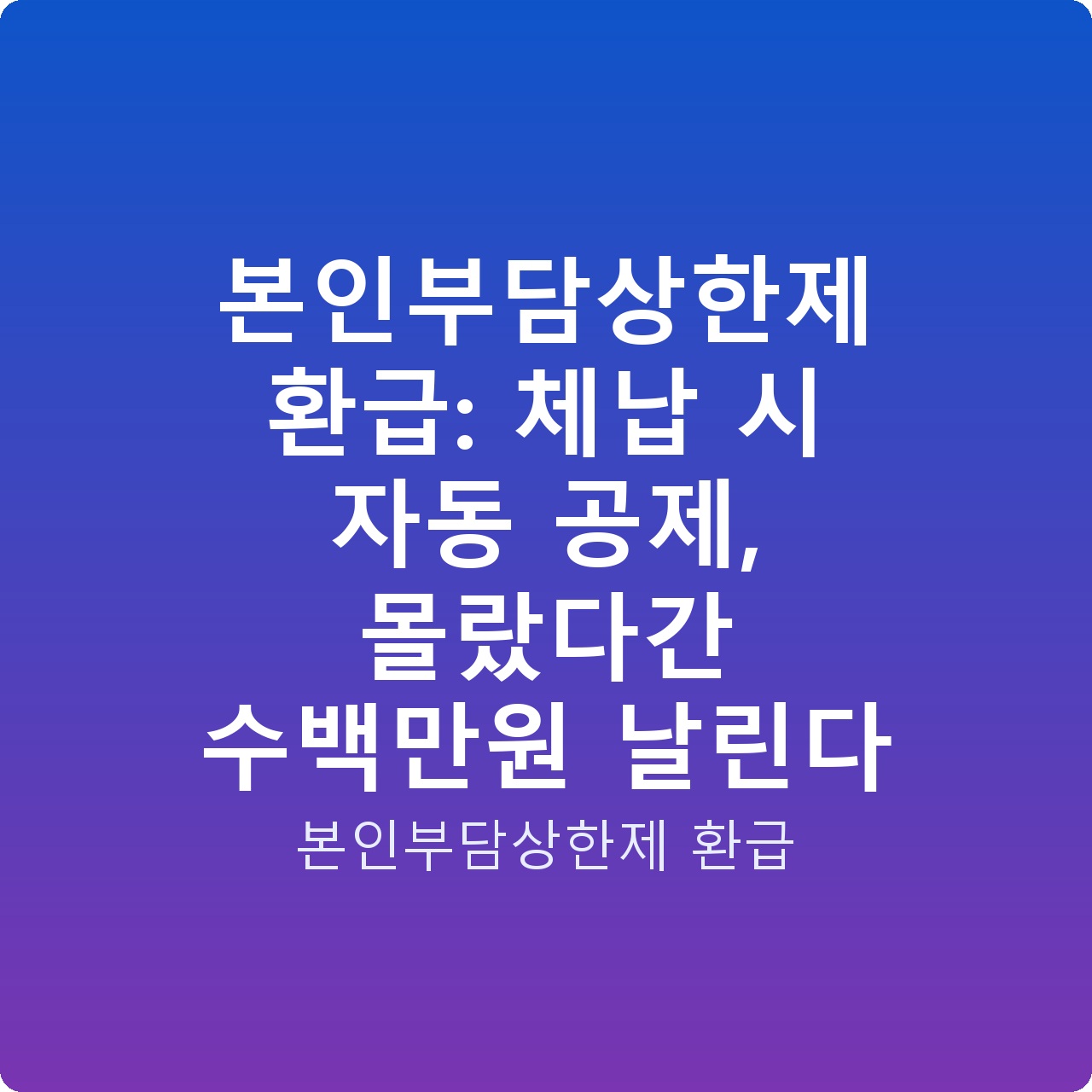 본인부담상한제 환급: 체납 시 자동 공제, 몰랐다간 수백만원 날린다