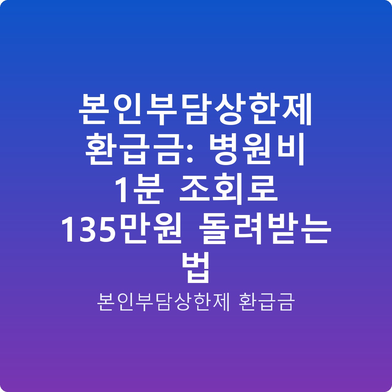 본인부담상한제 환급금: 병원비 1분 조회로 135만원 돌려받는 법