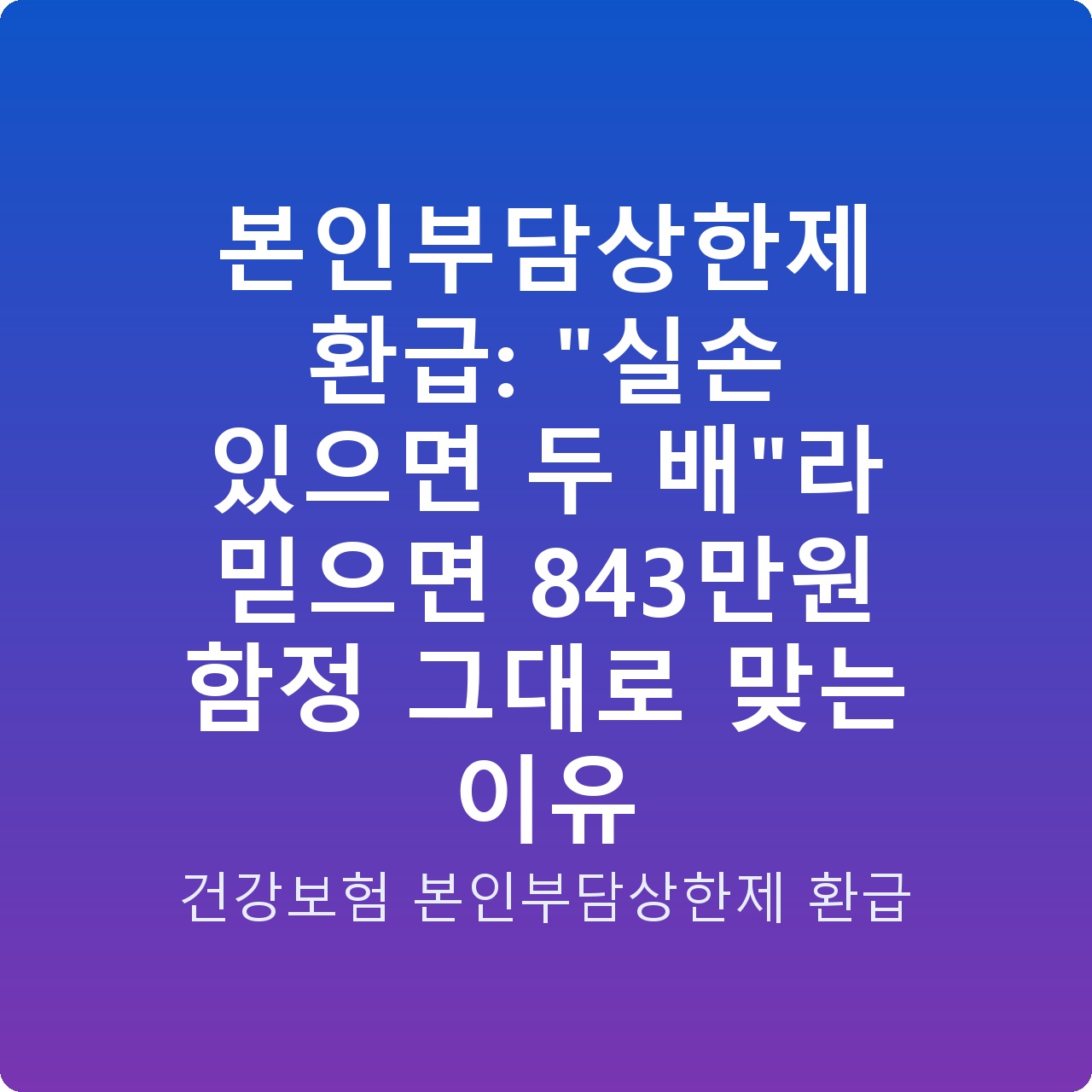 본인부담상한제 환급: “실손 있으면 두 배”라 믿으면 843만원 함정 그대로 맞는 이유