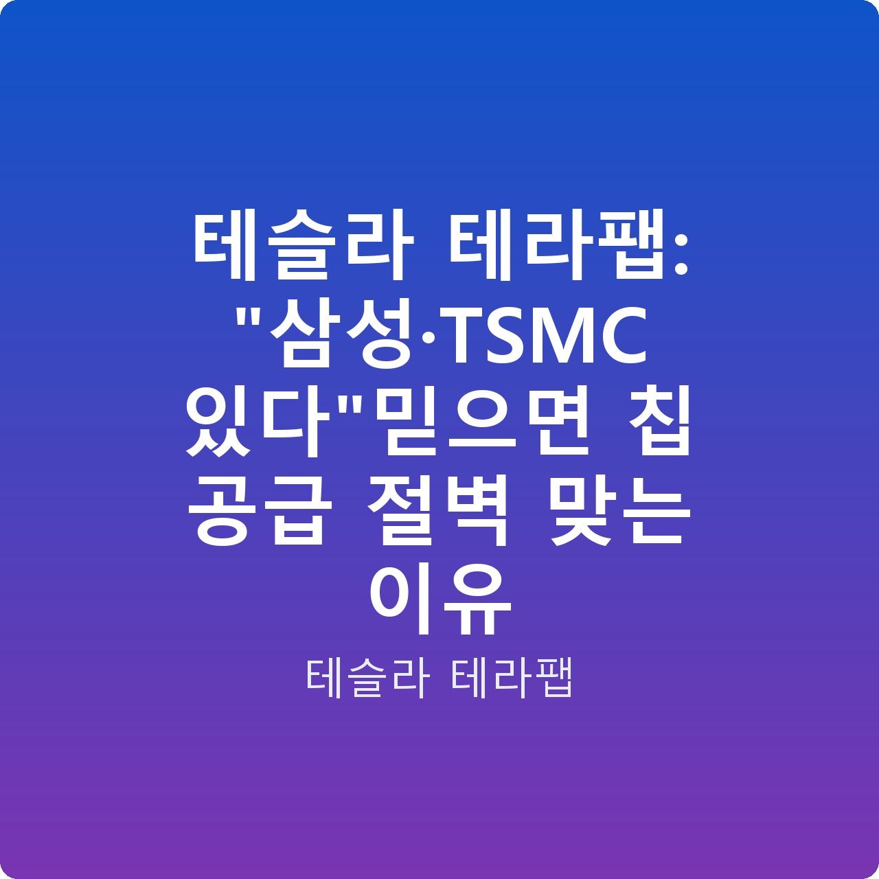 테슬라 테라팹: “삼성·TSMC 있다”믿으면 칩 공급 절벽 맞는 이유