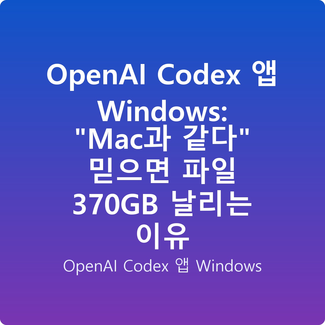 OpenAI Codex 앱 Windows: “Mac과 같다” 믿으면 파일 370GB 날리는 이유