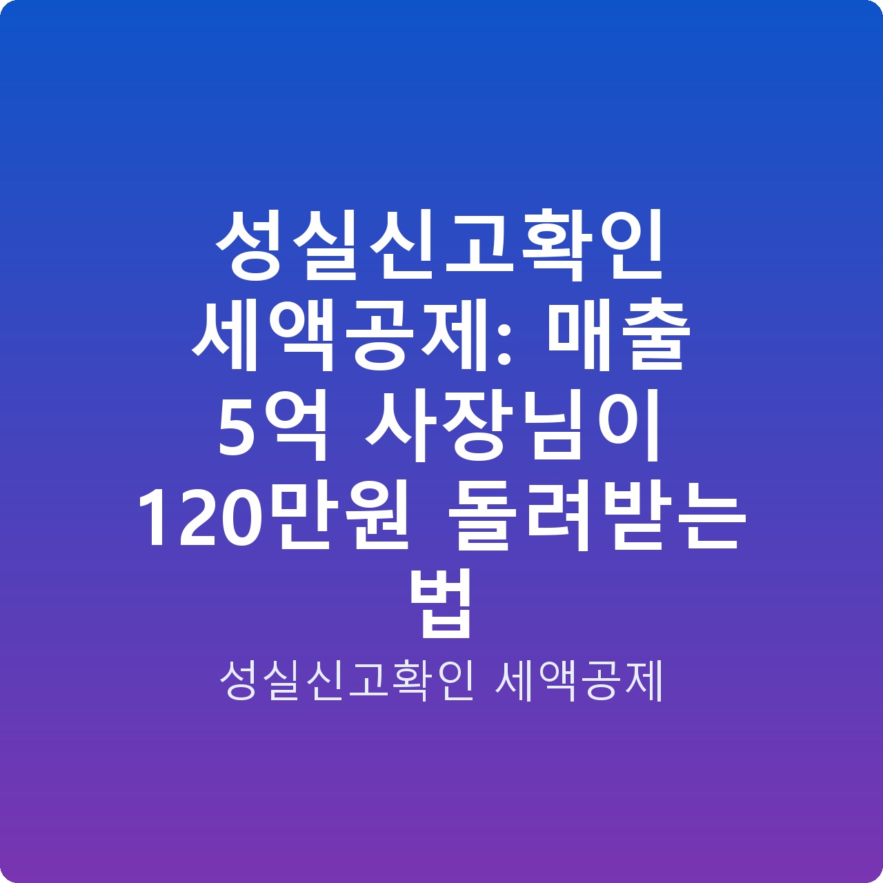 성실신고확인 세액공제: 매출 5억 사장님이 120만원 돌려받는 법 성실신고확인 세액공제: 매출 5억 사장님이 120만원 돌려받는 법