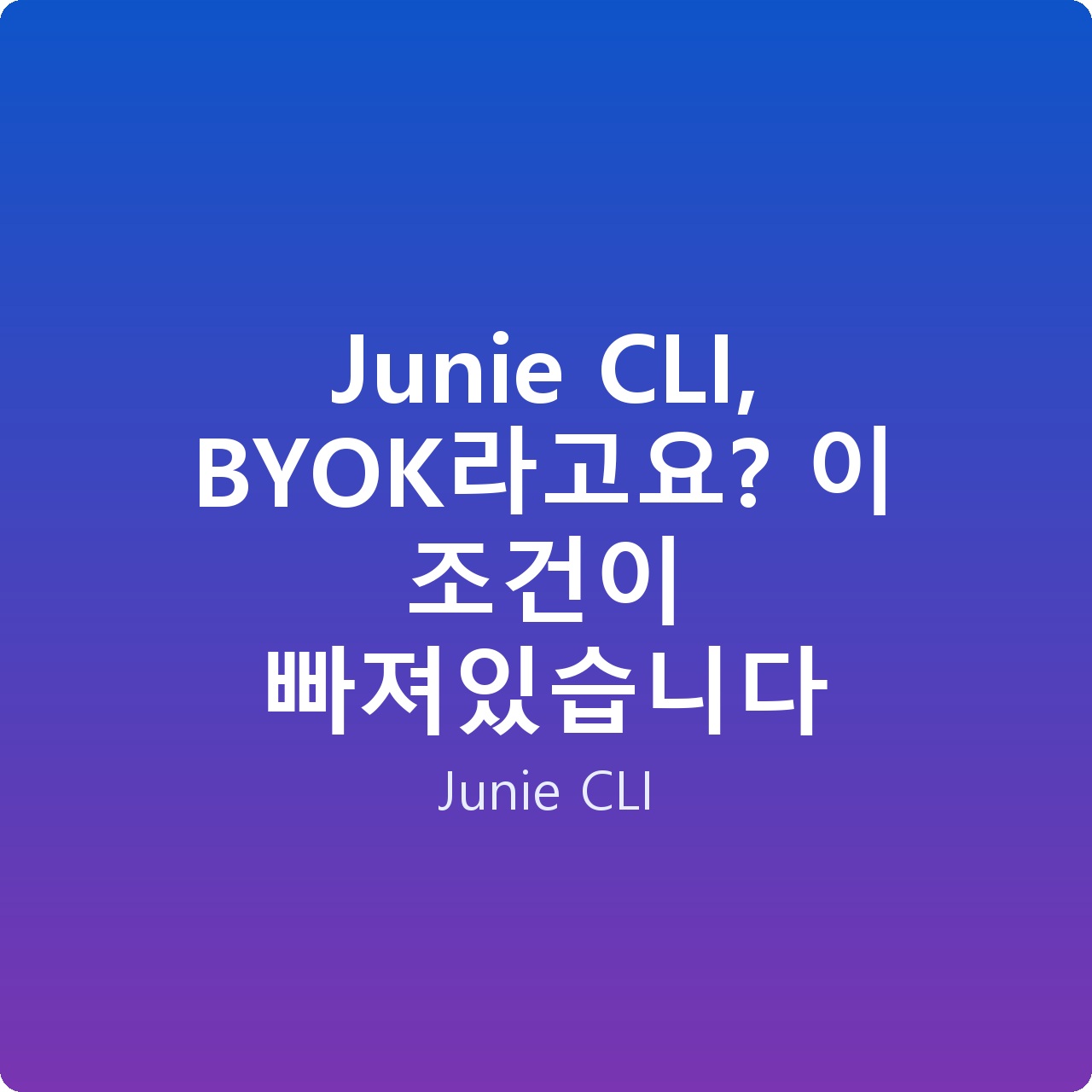 Junie CLI, BYOK라고요? 이 조건이 빠져있습니다