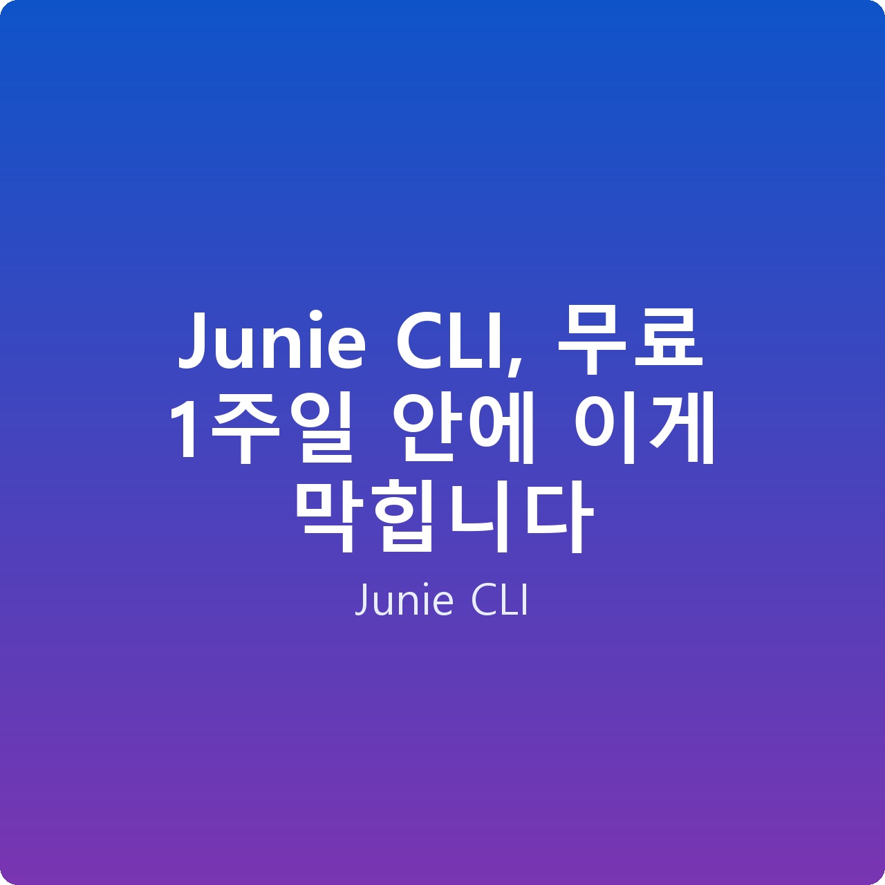 Junie CLI, 무료 1주일 안에 이게 막힙니다