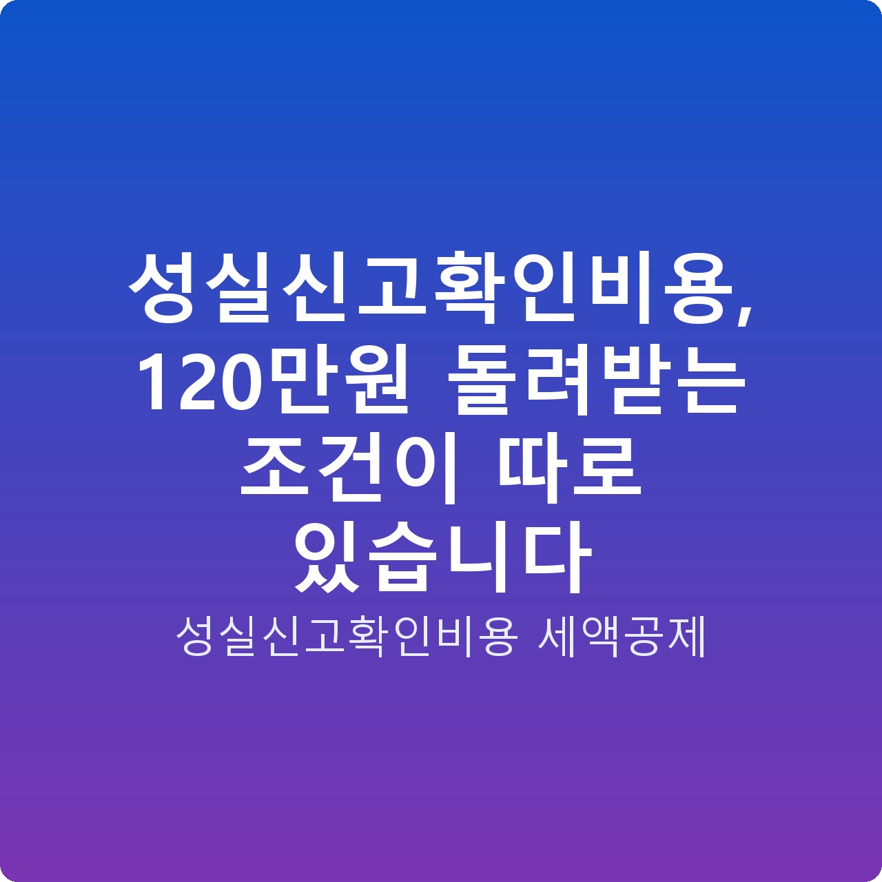 성실신고확인비용, 120만원 돌려받는 조건이 따로 있습니다