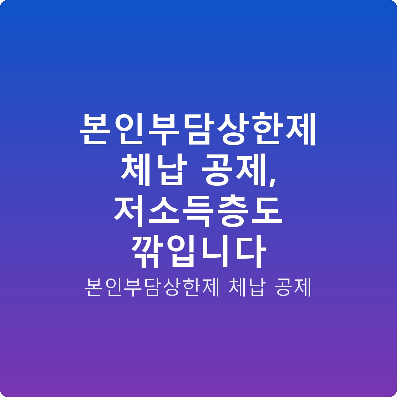 본인부담상한제 체납 공제, 저소득층도 깎입니다 본인부담상한제 체납 공제, 저소득층도 깎입니다