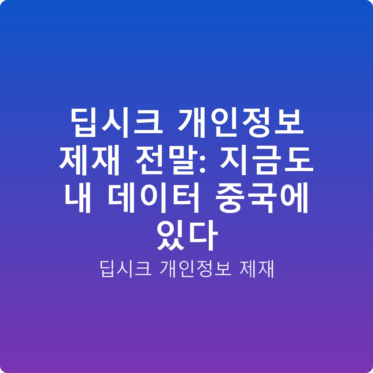 딥시크 개인정보 제재 전말: 지금도 내 데이터 중국에 있다