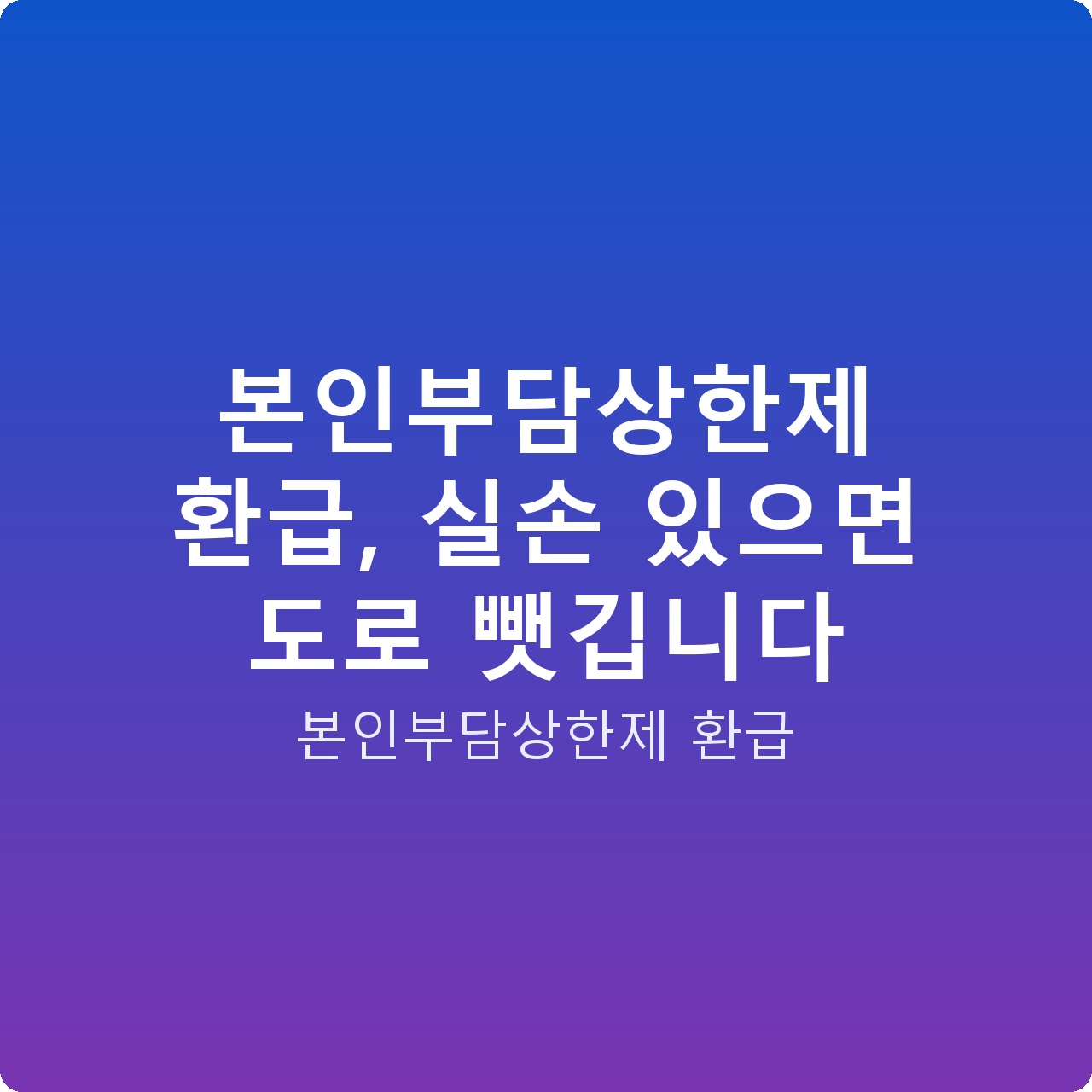 본인부담상한제 환급, 실손 있으면 도로 뺏깁니다