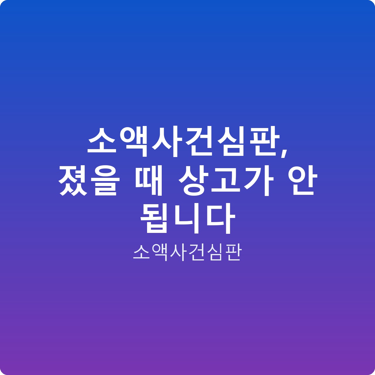 소액사건심판, 졌을 때 상고가 안 됩니다