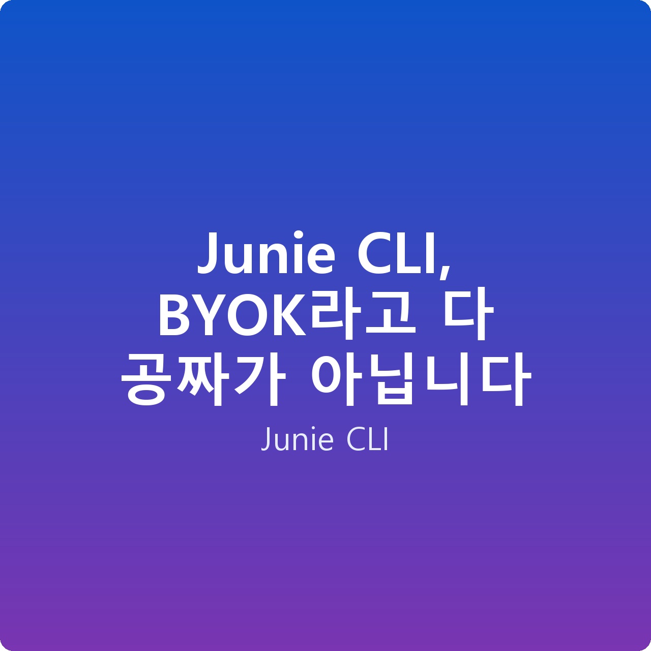 Junie CLI, BYOK라고 다 공짜가 아닙니다