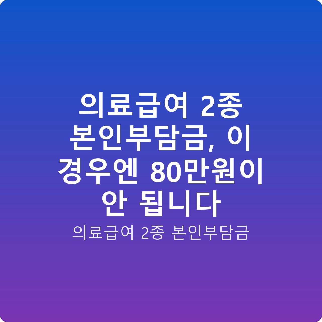 의료급여 2종 본인부담금, 이 경우엔 80만원이 안 됩니다