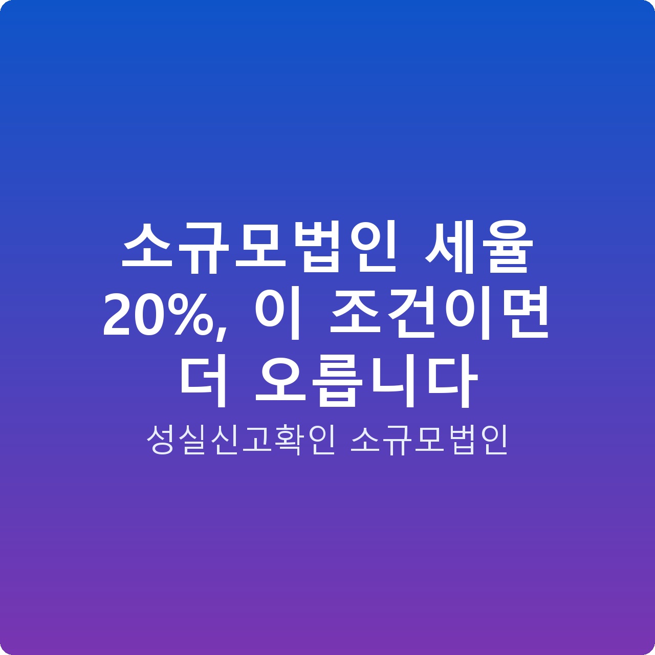 소규모법인 세율 20%, 이 조건이면 더 오릅니다