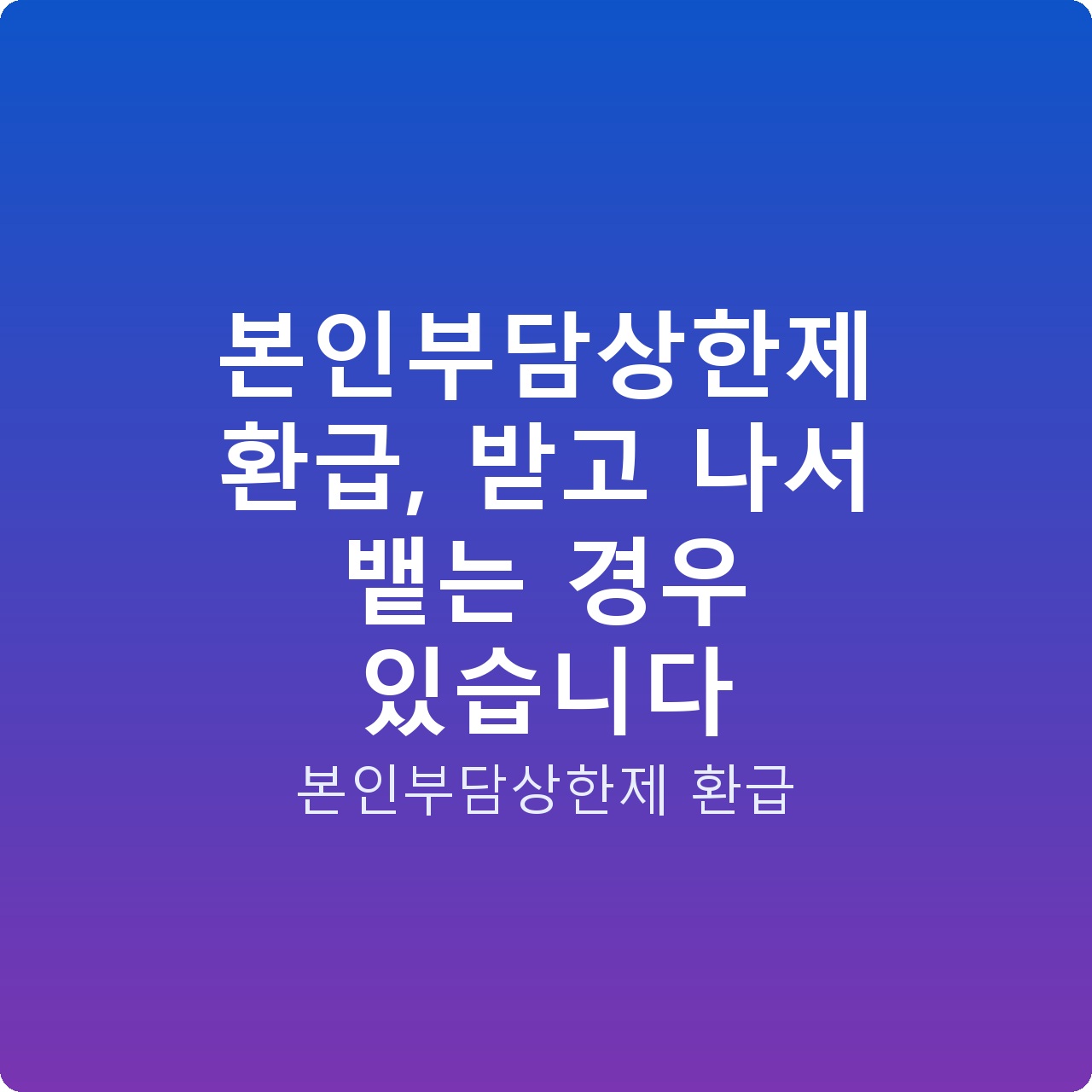 본인부담상한제 환급, 받고 나서 뱉는 경우 있습니다