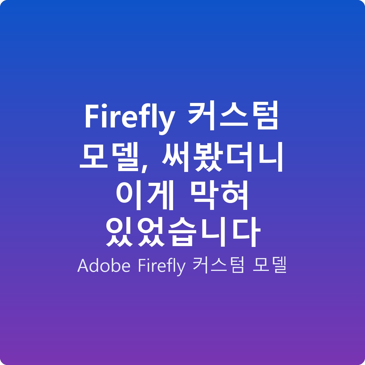 Firefly 커스텀 모델, 써봤더니 이게 막혀 있었습니다