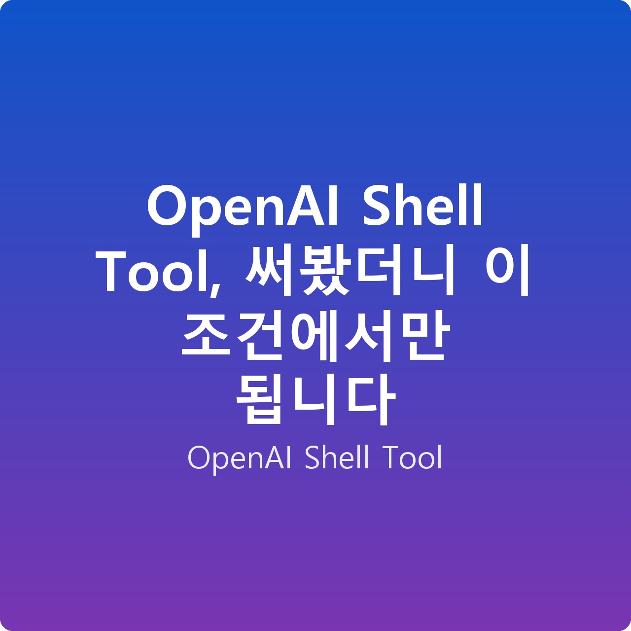 OpenAI Shell Tool, 써봤더니 이 조건에서만 됩니다