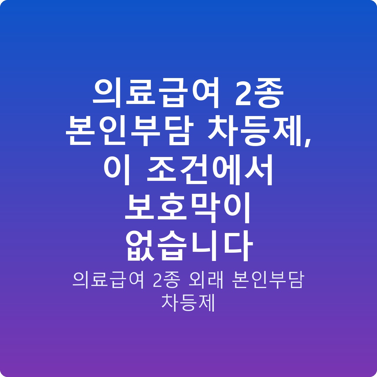 의료급여 2종 본인부담 차등제, 이 조건에서 보호막이 없습니다