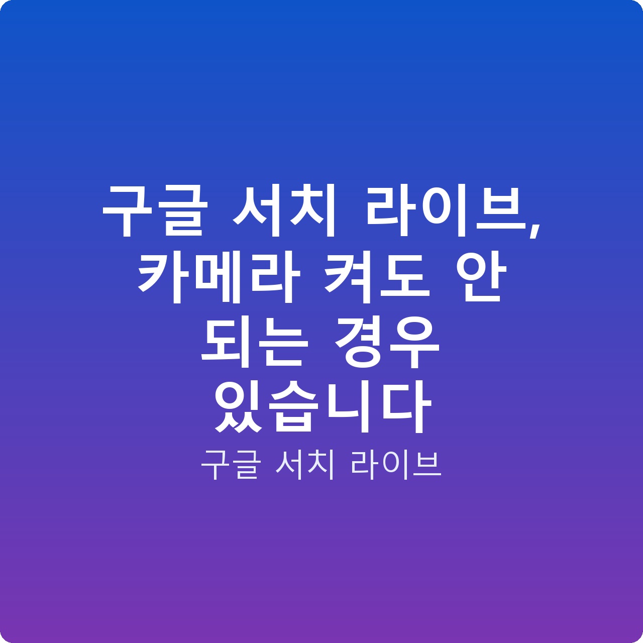 구글 서치 라이브, 카메라 켜도 안 되는 경우 있습니다