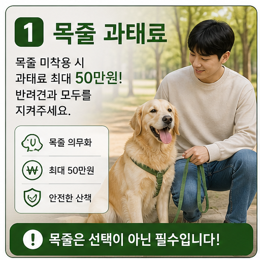 반려견 목줄 과태료 2026, 산책 전 리드줄 기준이 과태료를 가릅니다 반려견 목줄 과태료 2026, 산책 전 리드줄 기준이 과태료를 가릅니다