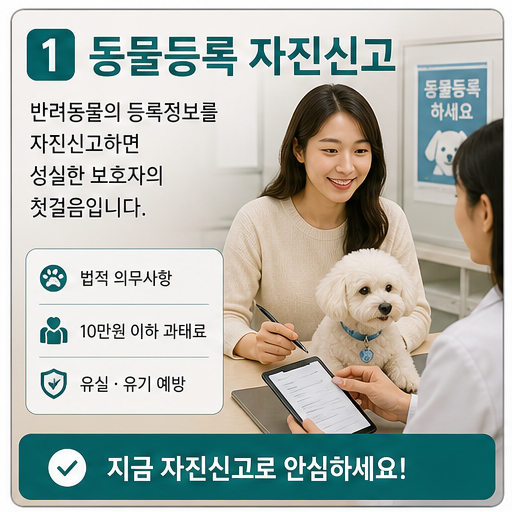 반려동물 등록 자진신고 2026, 내장칩·주소 변경을 미루면 과태료가 따라옵니다