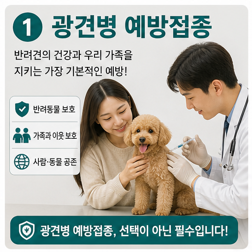 반려동물 광견병 예방접종 2026, 지자체 지원기간 지나면 전액 부담입니다